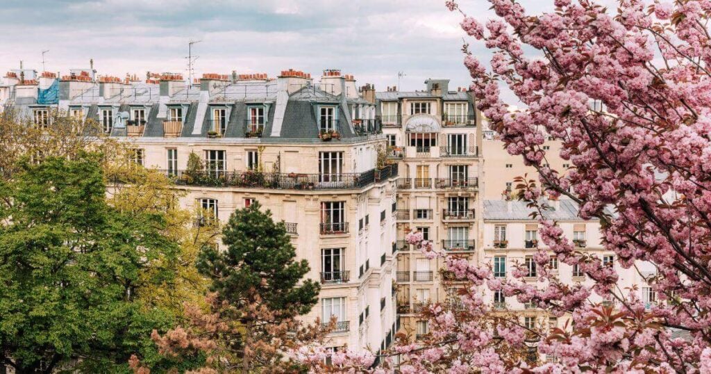 french dresses