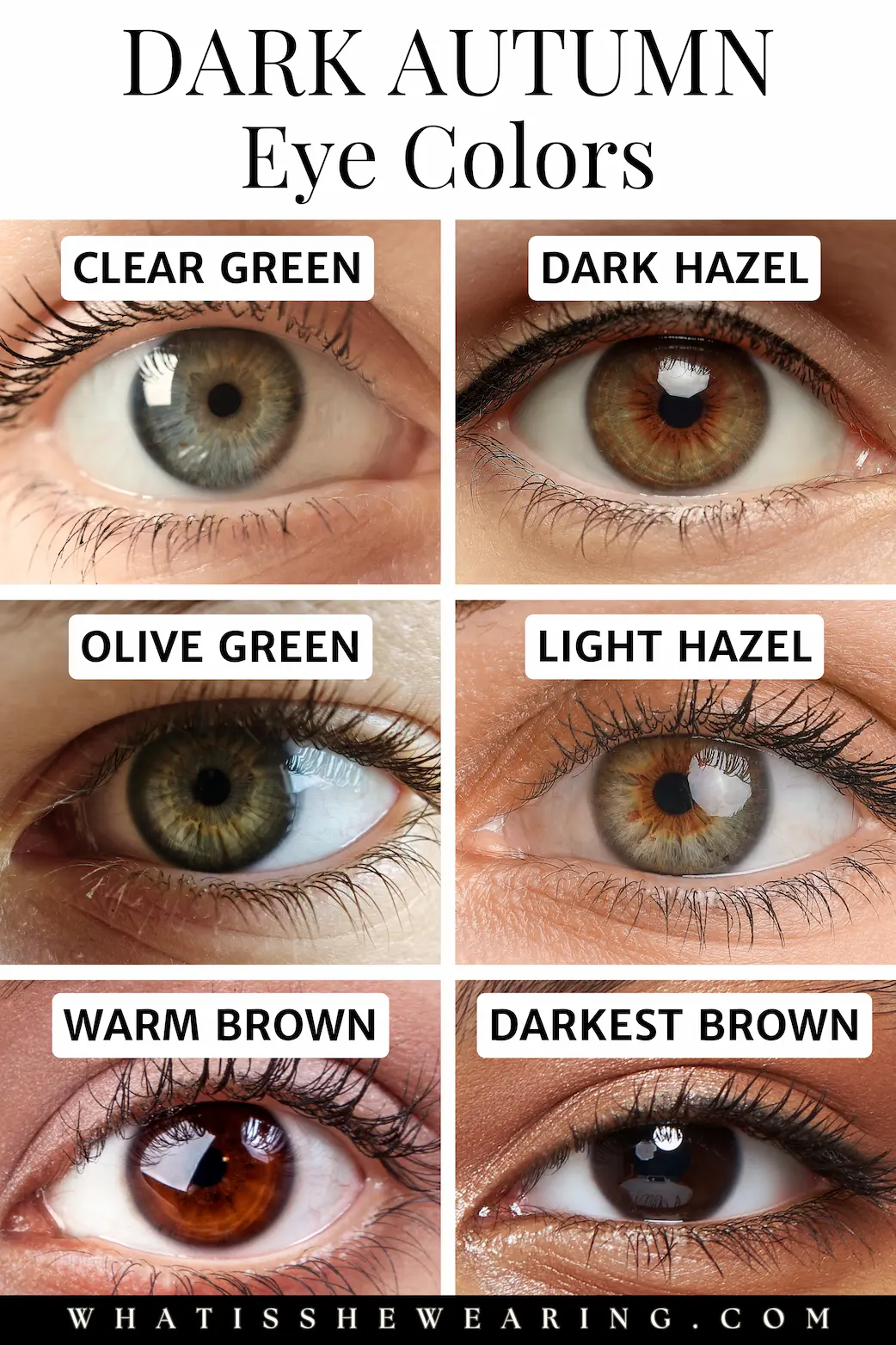 Dark Autumn Eye Colors A chart depicting different dark autumn eye colors.